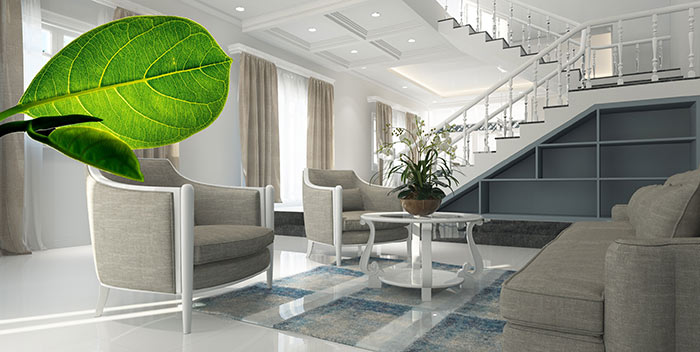 Foto eines modernen, hellen Wohnzimmers mit einem Pflanzenblatt am linken Bildrand